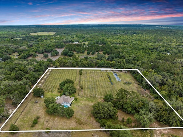 aerial view at dusk with a forest view