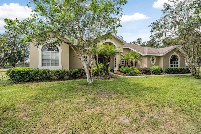 view of front of house featuring a front lawn and stucco siding