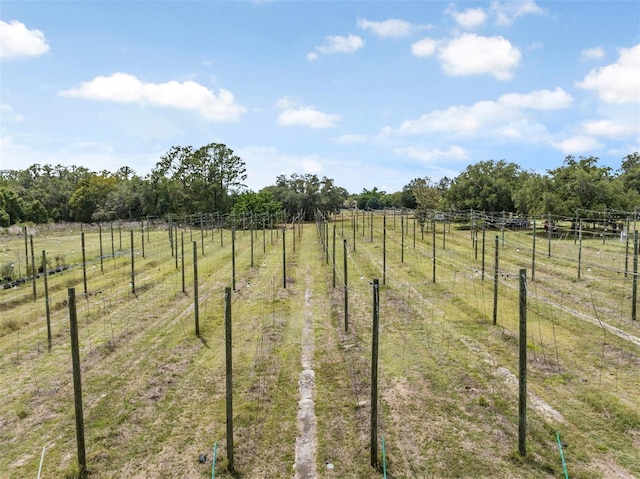 view of yard with fence and a rural view