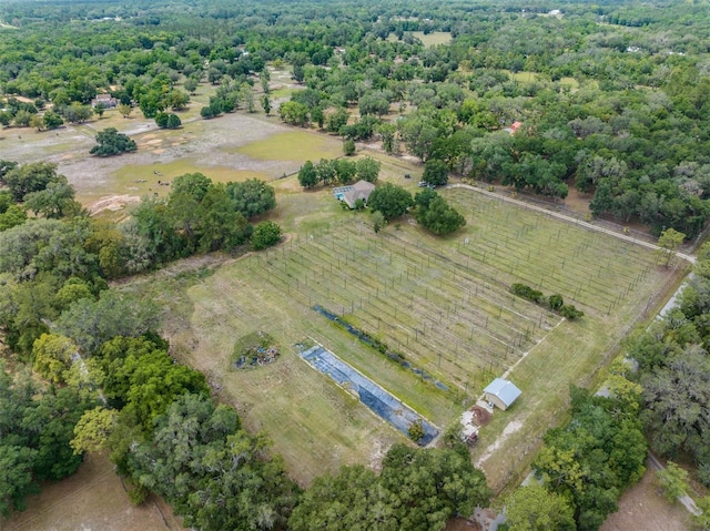 drone / aerial view with a rural view