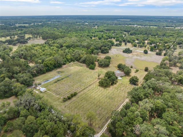 drone / aerial view featuring a rural view and a forest view