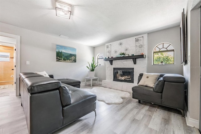 living room featuring light wood-type flooring and a stone fireplace