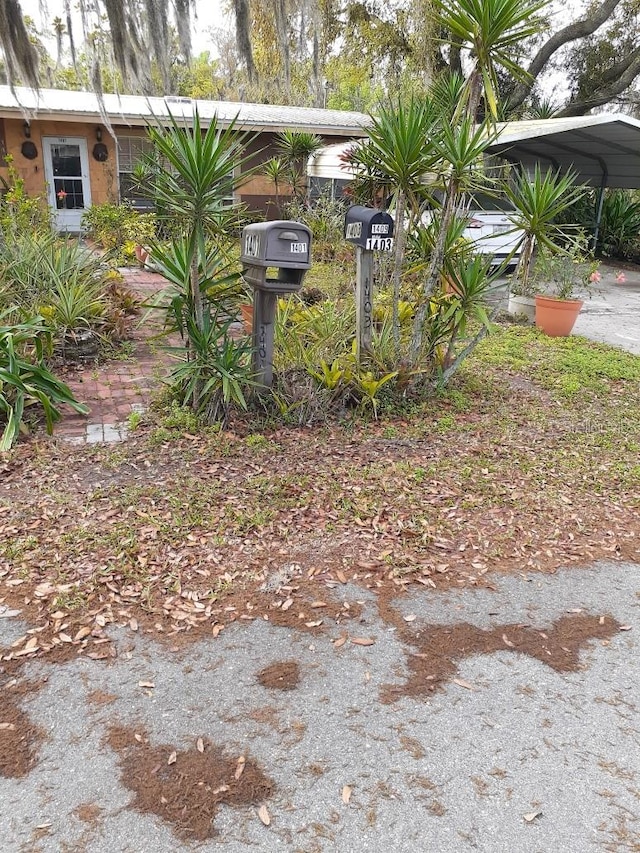 view of yard featuring a carport