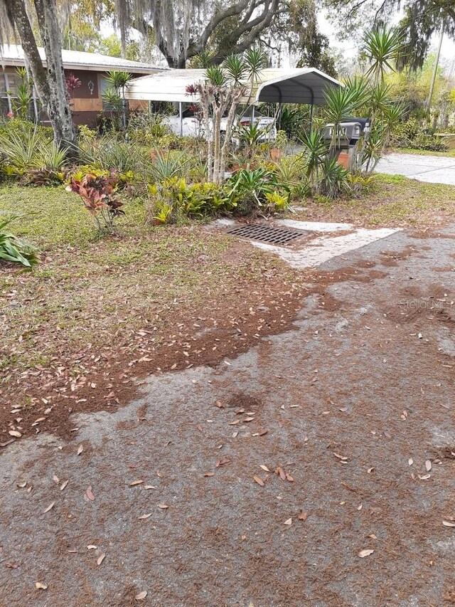 view of yard featuring a carport