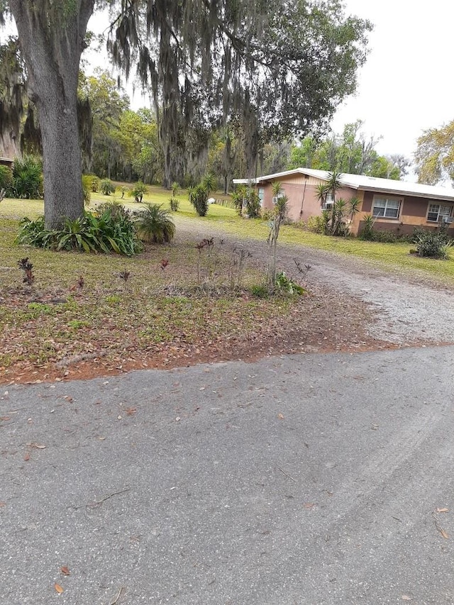 view of yard with driveway