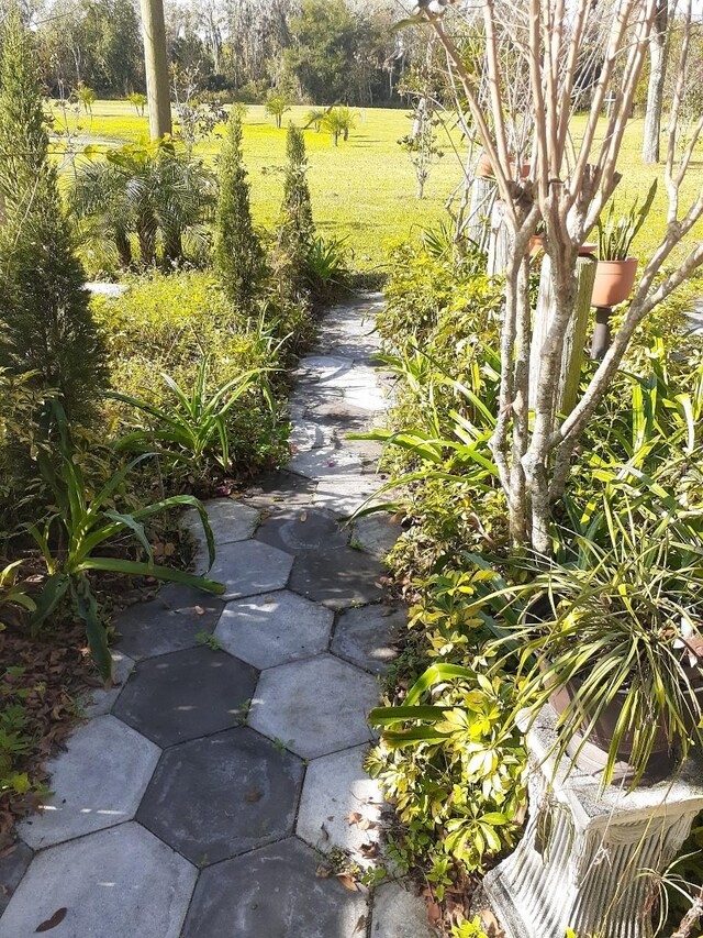 view of yard featuring a patio area