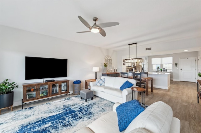 living room with ceiling fan and light wood-type flooring