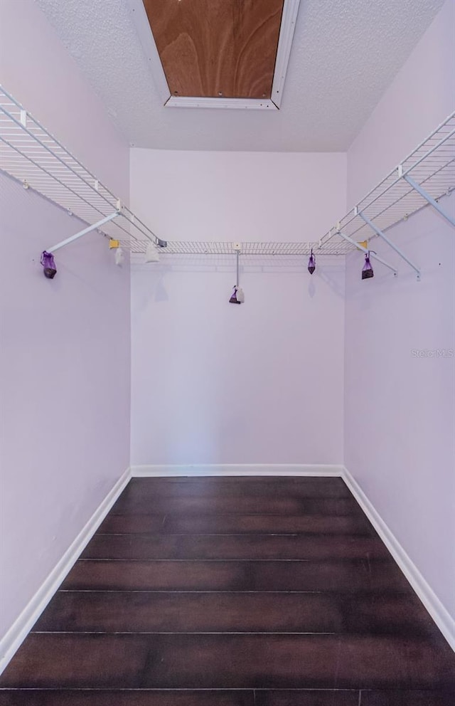 spacious closet with dark hardwood / wood-style flooring