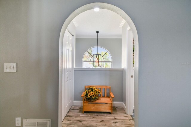 644 Bayshore Dr, Tarpon Springs, FL 34689 - photo 14