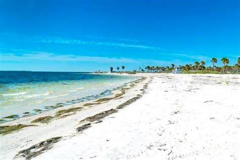 644 Bayshore Dr, Tarpon Springs, FL 34689 - photo 83