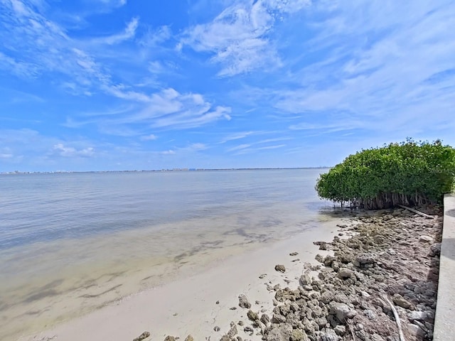 6177 Sun Blvd Unit 108, Saint Petersburg, FL 33715 - photo 25