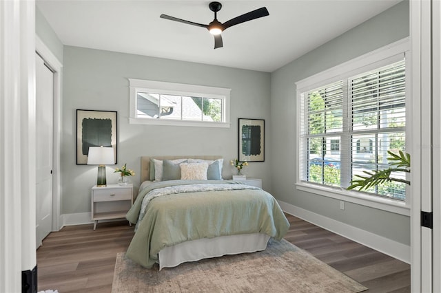 bedroom with a closet, ceiling fan, and dark hardwood / wood-style flooring