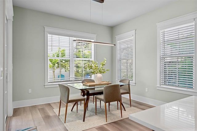 dining area with plenty of natural light and light hardwood / wood-style floors