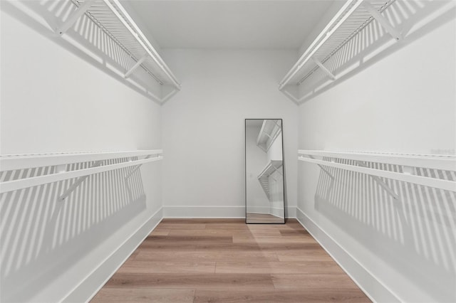 spacious closet featuring wood-type flooring