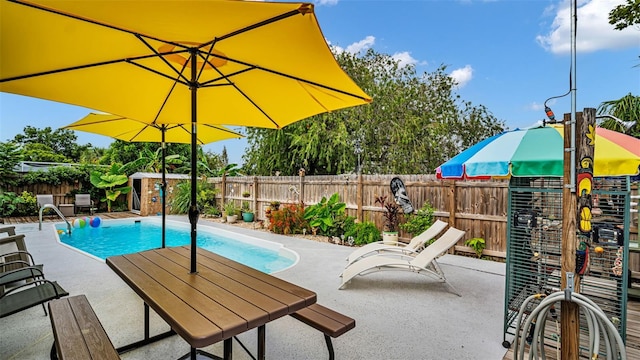 view of pool featuring a patio