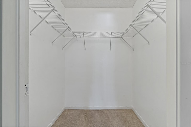 walk in closet featuring carpet flooring