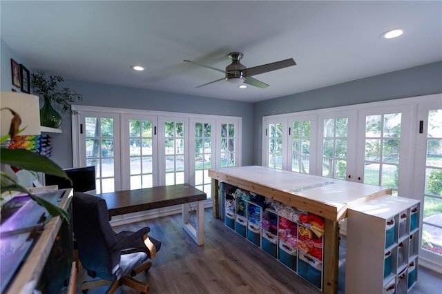 interior space featuring ceiling fan and dark hardwood / wood-style flooring