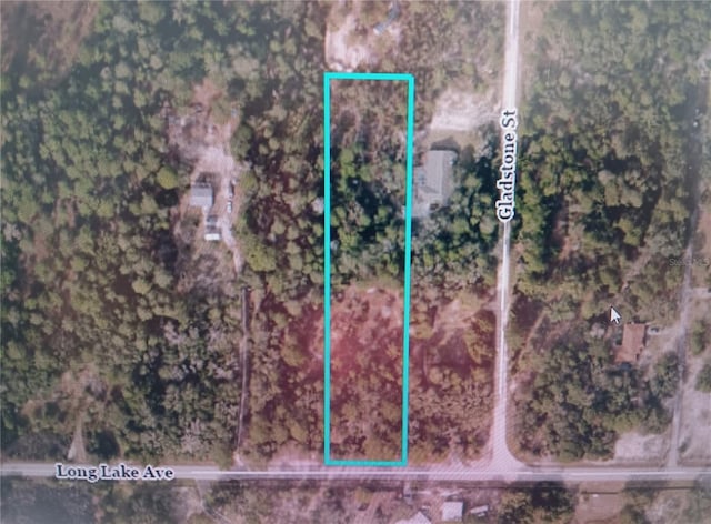 9167 Long Lake Ave, Weeki Wachee FL, 34613 land for sale