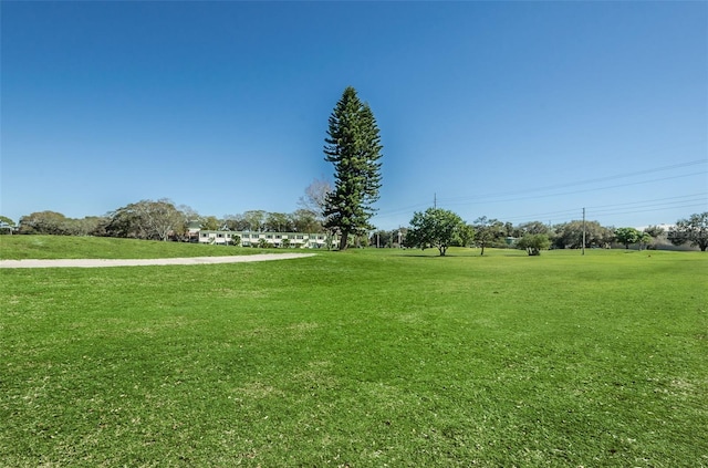 view of community featuring a lawn