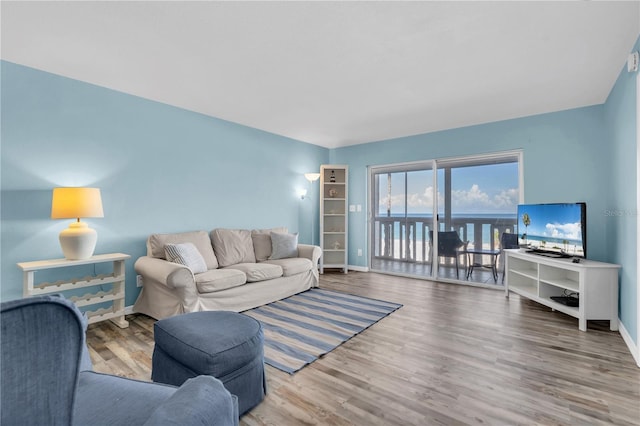 living room featuring hardwood / wood-style flooring