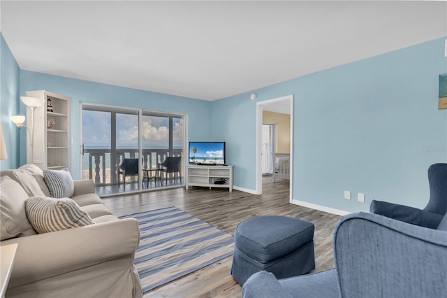 living room featuring hardwood / wood-style floors