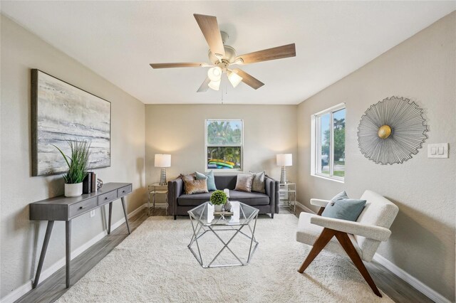 living room with ceiling fan and wood-type flooring