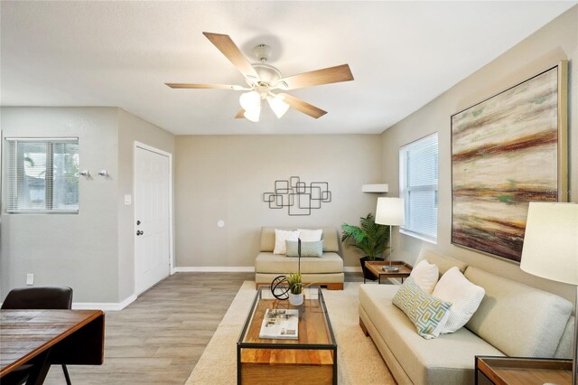 living room with ceiling fan and light wood-type flooring