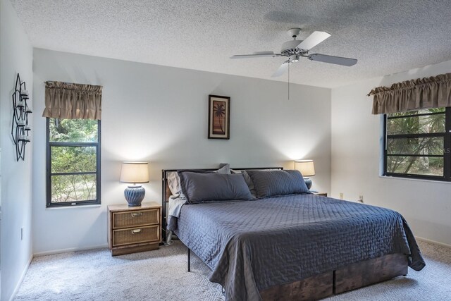 carpeted bedroom with multiple windows and a textured ceiling