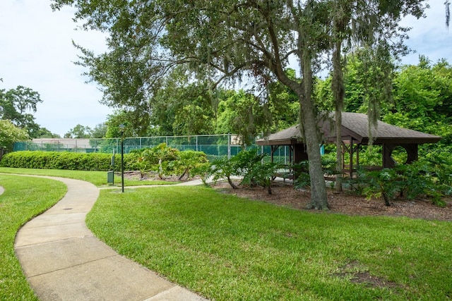 view of community featuring a lawn