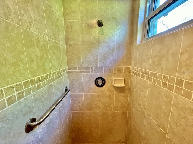 room details with a tile shower