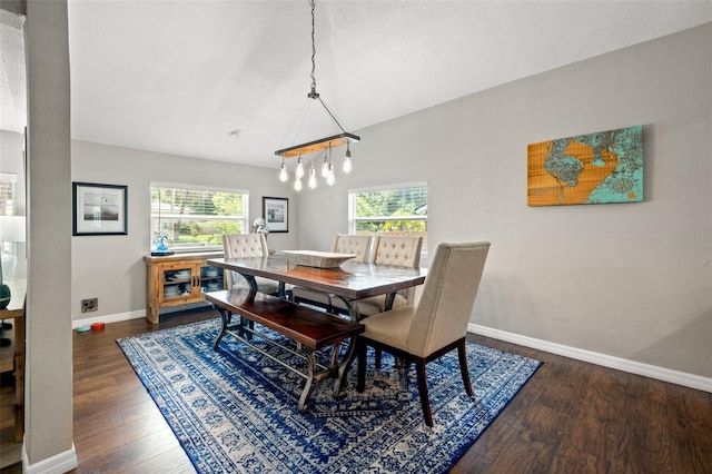 dining area with dark wood-type flooring and a wealth of natural light