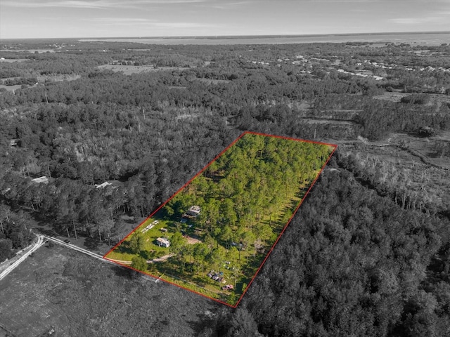 9535 Number Two Rd, Howey In The Hills, FL 34737 - photo 1
