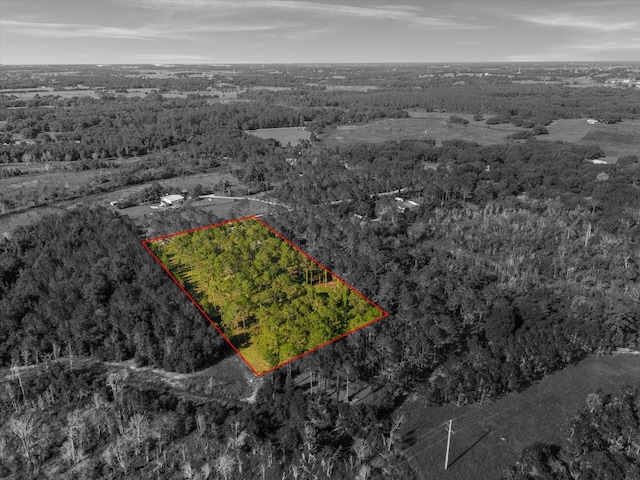 9535 Number Two Rd, Howey In The Hills, FL 34737 - photo 2