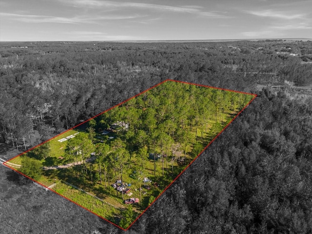9535 Number Two Rd, Howey In The Hills, FL 34737 - photo 3