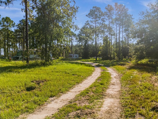 9535 Number Two Rd, Howey In The Hills, FL 34737 - photo 7