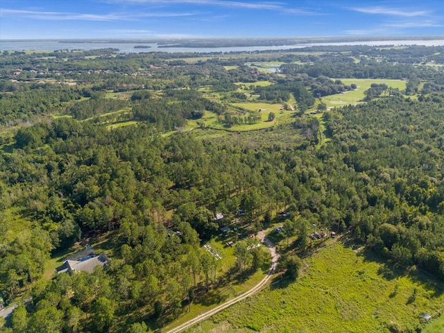 9535 Number Two Rd, Howey In The Hills, FL 34737 - photo 8