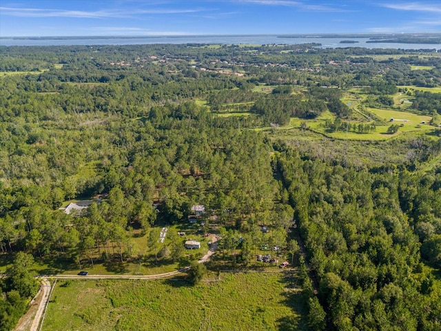 9535 Number Two Rd, Howey In The Hills, FL 34737 - photo 9