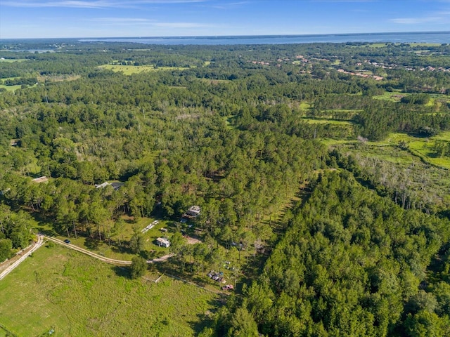 9535 Number Two Rd, Howey In The Hills, FL 34737 - photo 10
