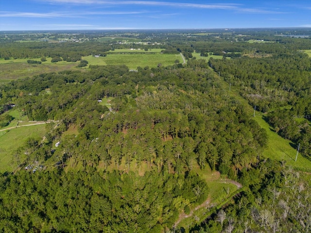 9535 Number Two Rd, Howey In The Hills, FL 34737 - photo 11