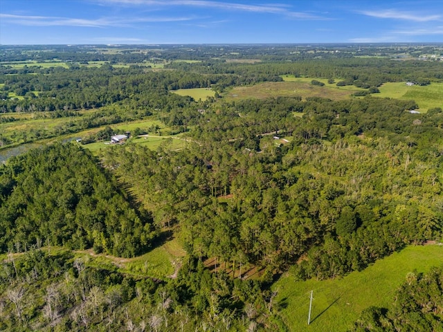 9535 Number Two Rd, Howey In The Hills, FL 34737 - photo 12