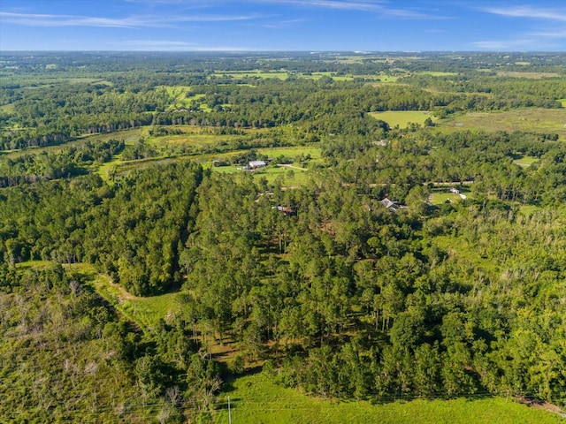 9535 Number Two Rd, Howey In The Hills, FL 34737 - photo 13