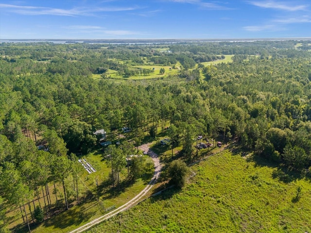9535 Number Two Rd, Howey In The Hills, FL 34737 - photo 16