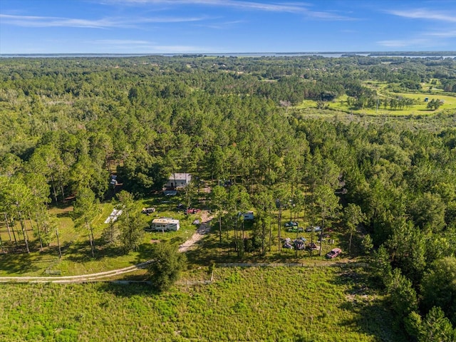 9535 Number Two Rd, Howey In The Hills, FL 34737 - photo 17