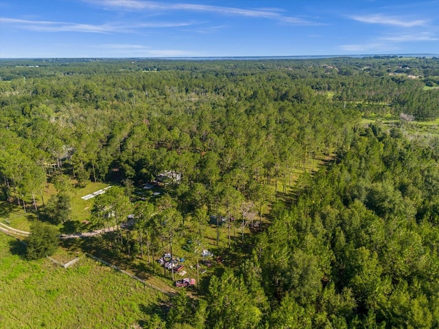 9535 Number Two Rd, Howey In The Hills, FL 34737 - photo 18