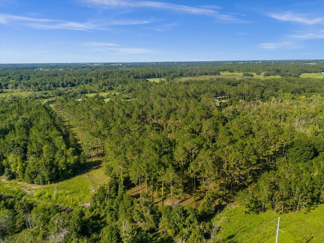 9535 Number Two Rd, Howey In The Hills, FL 34737 - photo 19