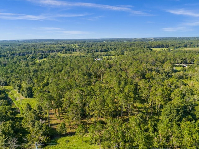 9535 Number Two Rd, Howey In The Hills, FL 34737 - photo 20