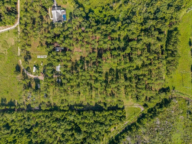 9535 Number Two Rd, Howey In The Hills, FL 34737 - photo 21