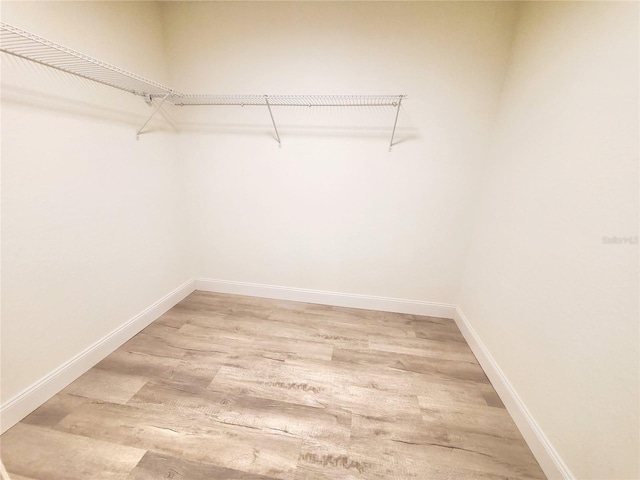 spacious closet with wood-type flooring