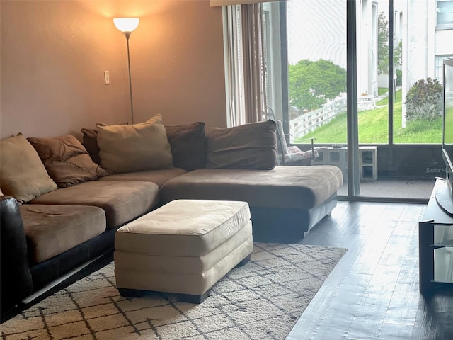 living room featuring wood-type flooring