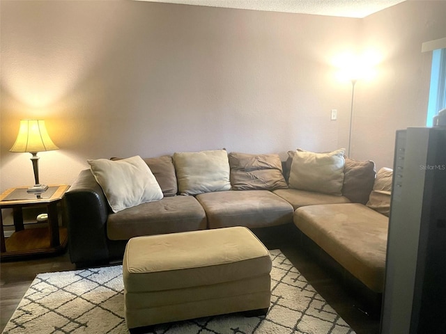 living room featuring hardwood / wood-style flooring